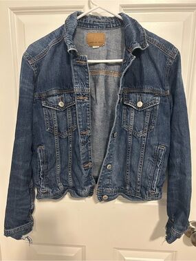 American Eagle Outfitters Blue Denim Jacket
